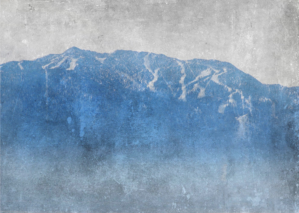 Wall art High Sierra II-Canvas Print-DECOROLALA