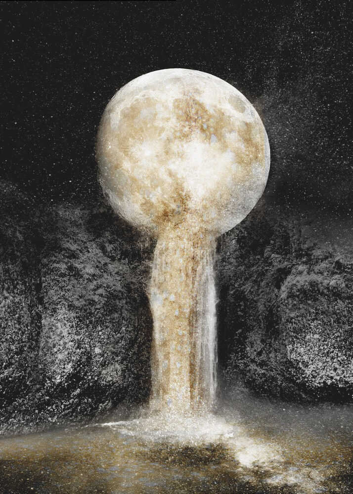 Wall art Honey Moon II-canvas prints-DECOROLALA