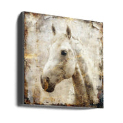 Wall art Horse Vintage Art Illustration 02-canvas-DECOROLALA