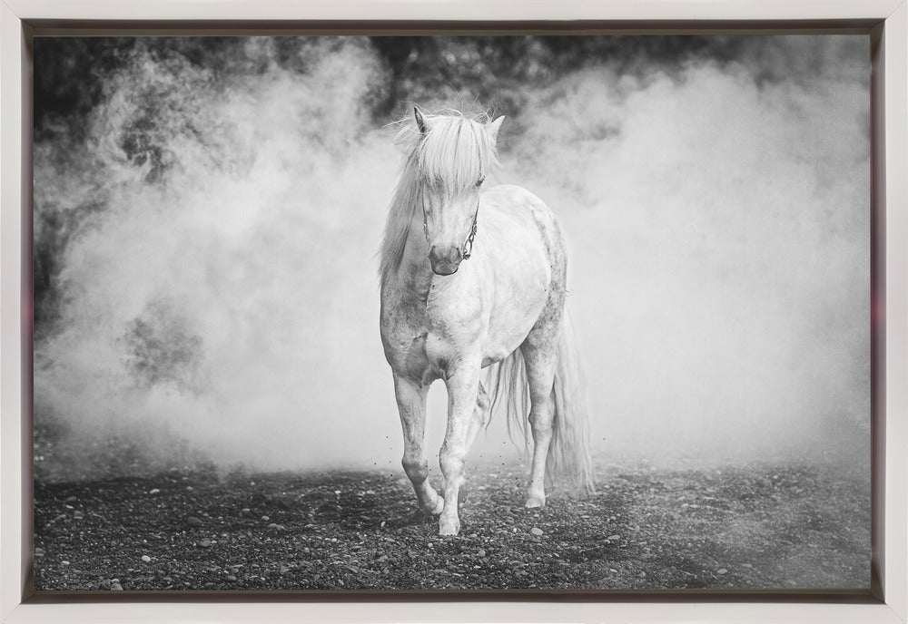 Wall art Icelandic pony-Canvas Print-DECOROLALA