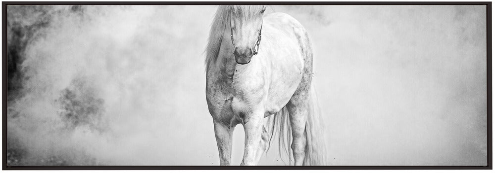 Wall art Icelandic pony-Canvas Print-DECOROLALA