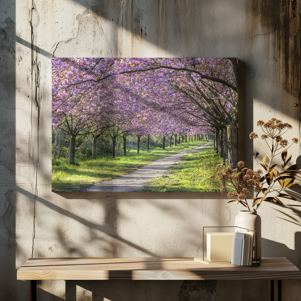 Wall art Idyllic cherry blossom alley-canvas-DECOROLALA