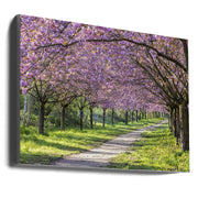 Wall art Idyllic cherry blossom alley-canvas-DECOROLALA