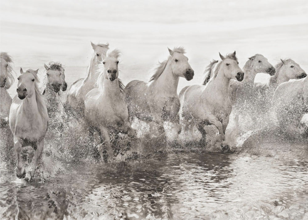 Wall art Illusion of power (13 horse power though)-Canvas Print-DECOROLALA