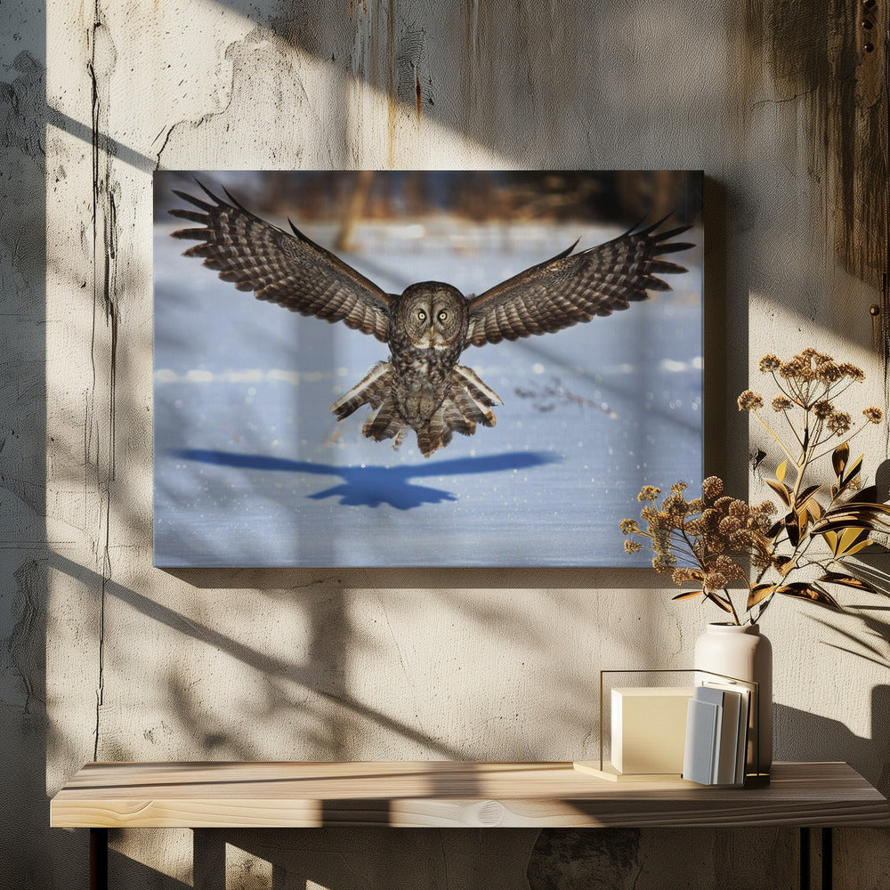 Wall art In your face - Great Grey Owl-Canvas Print-DECOROLALA