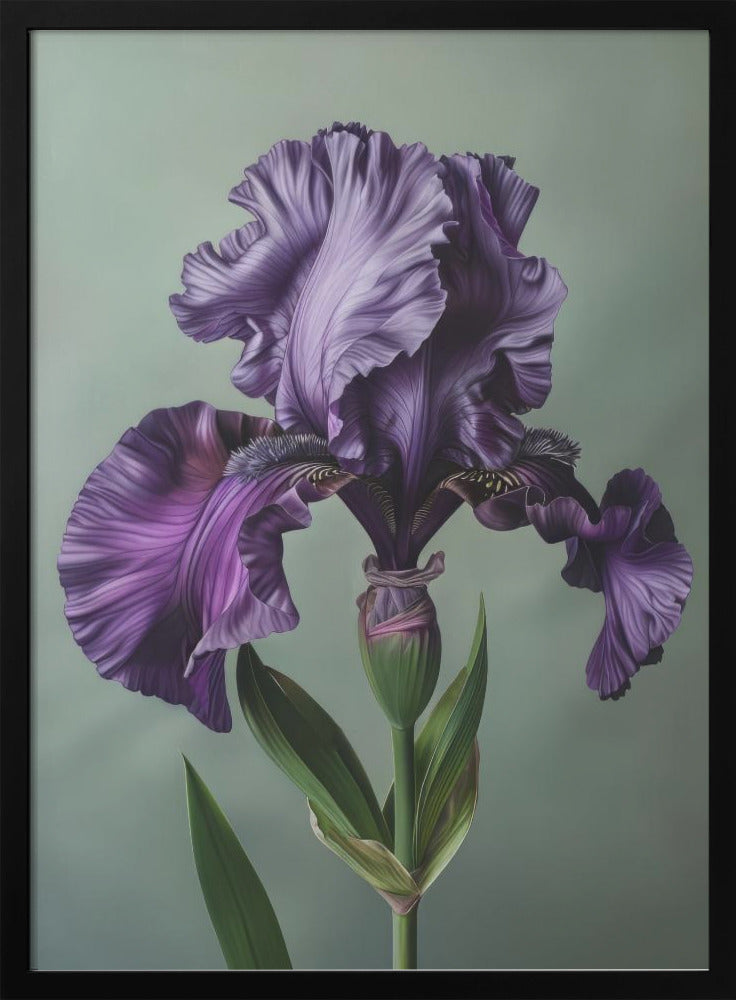 Wall art Iris Fl 10-canvas-DECOROLALA