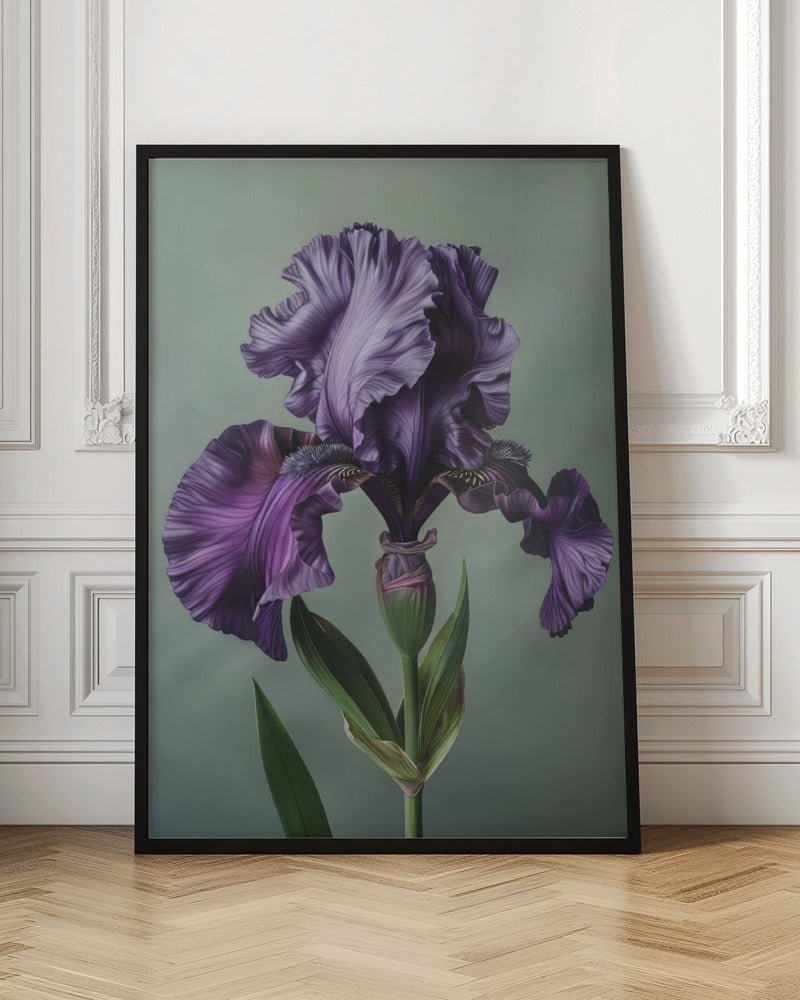 Wall art Iris Fl 10-canvas-DECOROLALA