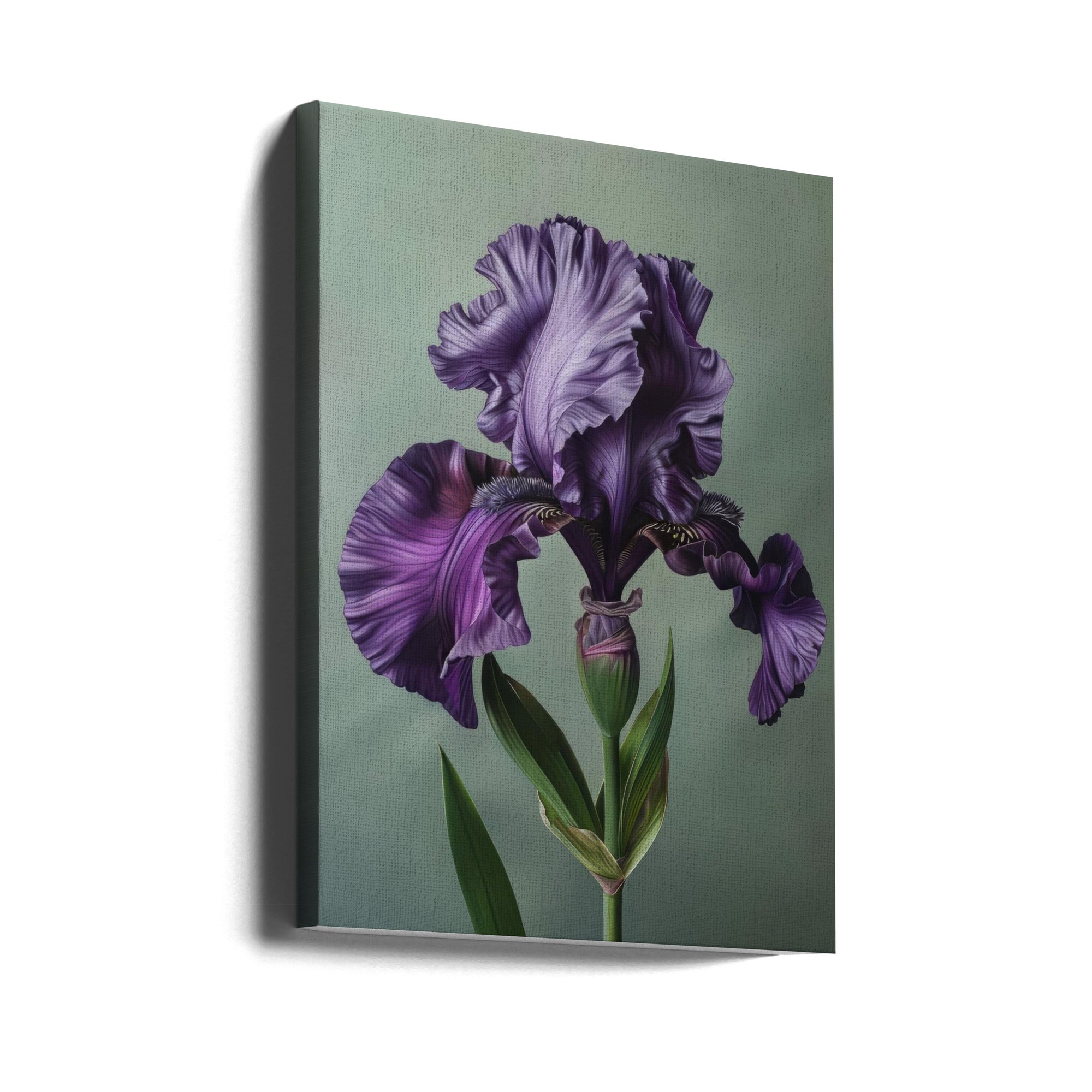 Wall art Iris Fl 10-canvas-DECOROLALA