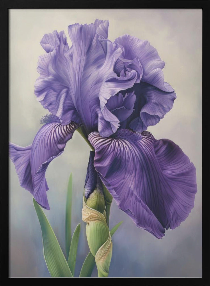 Wall art Iris Fl 100-canvas-DECOROLALA