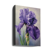 Wall art Iris Fl 100-canvas-DECOROLALA