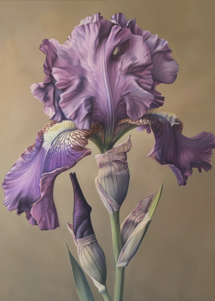 Wall art Iris Fl 101-canvas-DECOROLALA