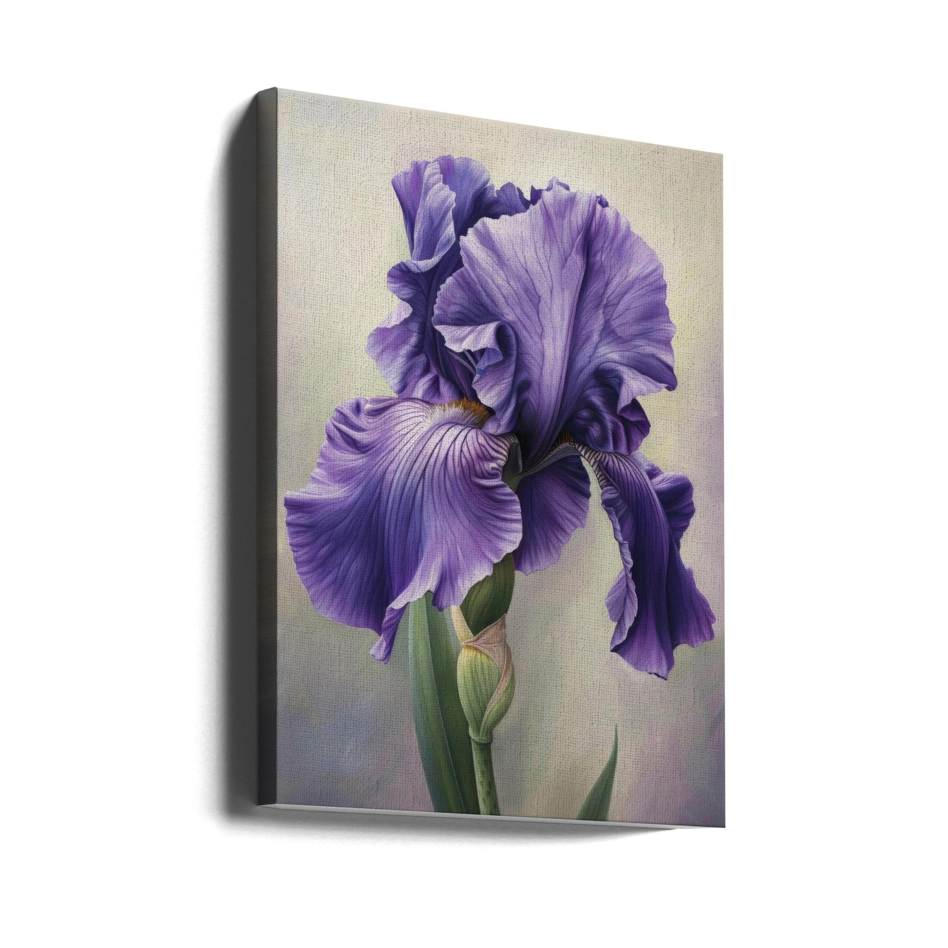 Wall art Iris Fl 113-canvas-DECOROLALA