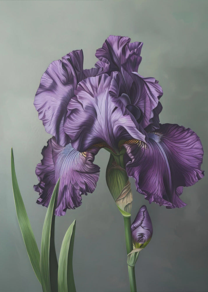 Wall art Iris Fl 18-canvas-DECOROLALA