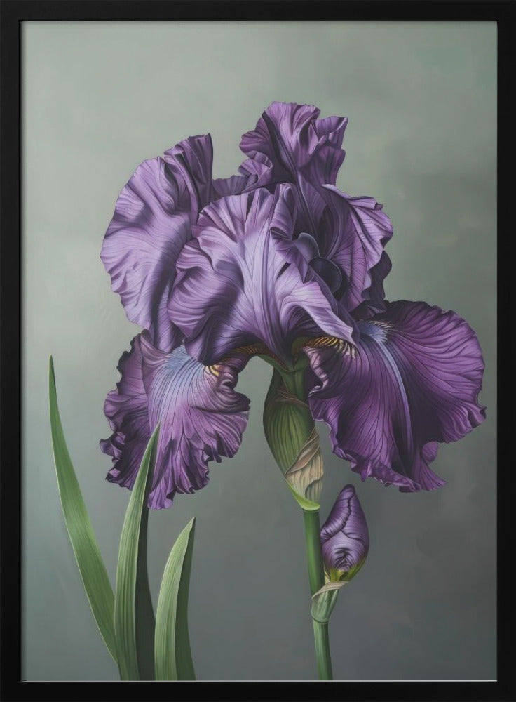 Wall art Iris Fl 18-canvas-DECOROLALA