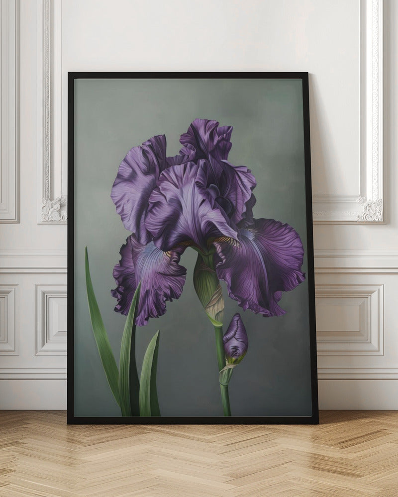 Wall art Iris Fl 18-canvas-DECOROLALA