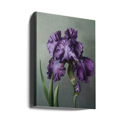 Wall art Iris Fl 18-canvas-DECOROLALA