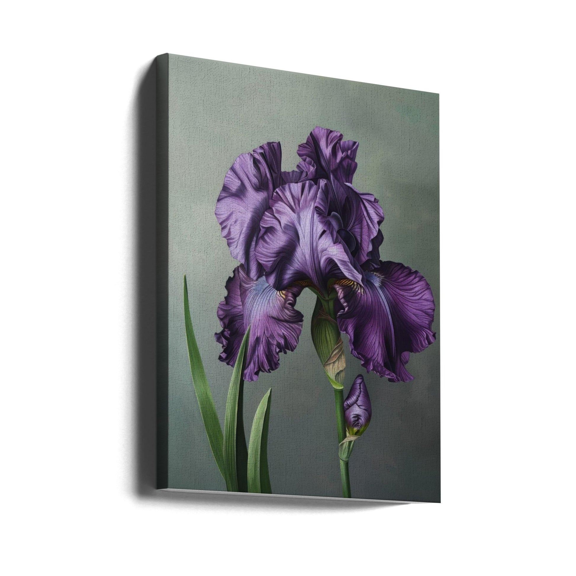Wall art Iris Fl 18-canvas-DECOROLALA