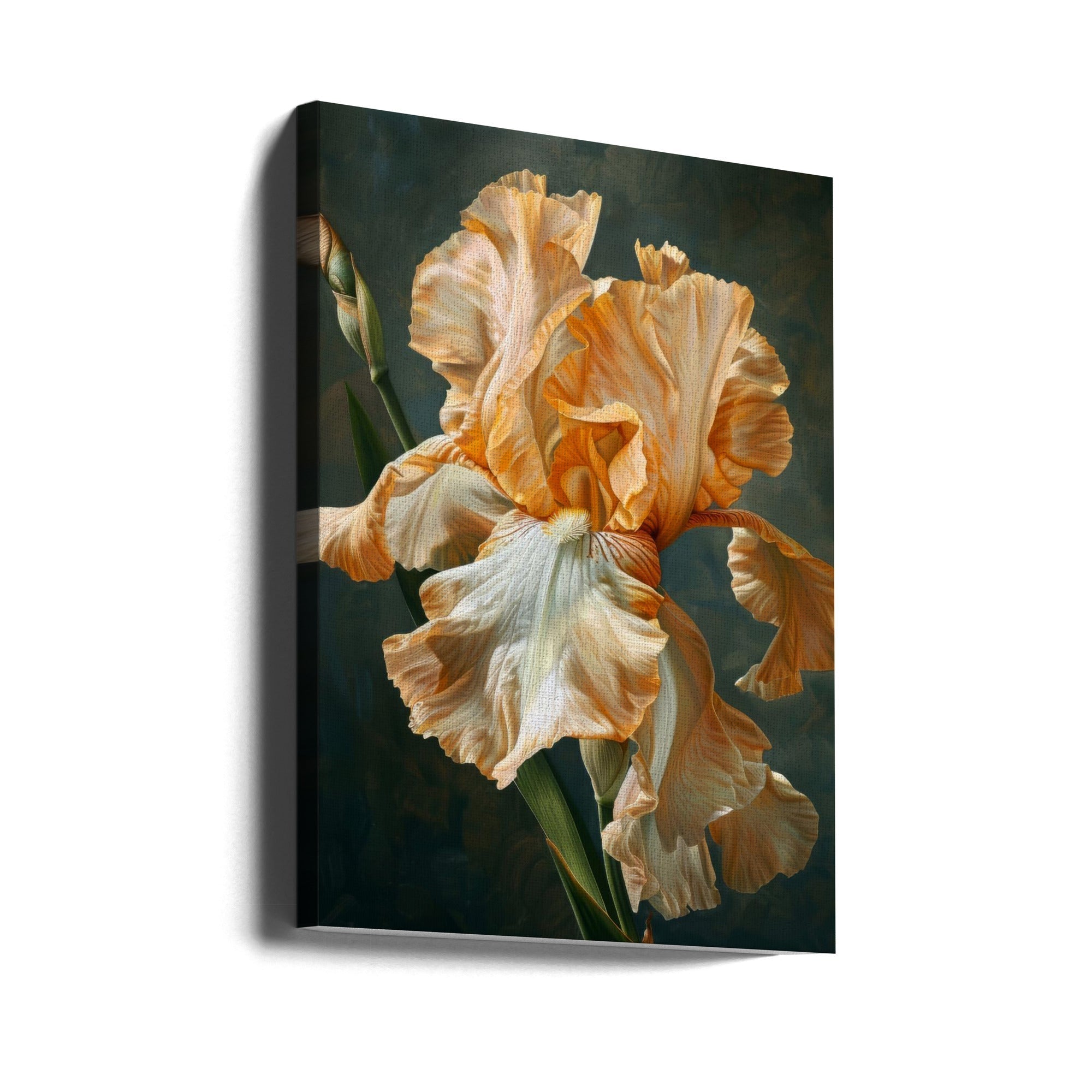 Wall art Iris Fl 73-canvas-DECOROLALA