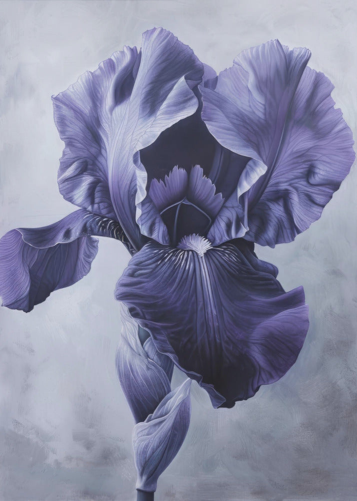 Wall art Iris Fl 95-canvas-DECOROLALA