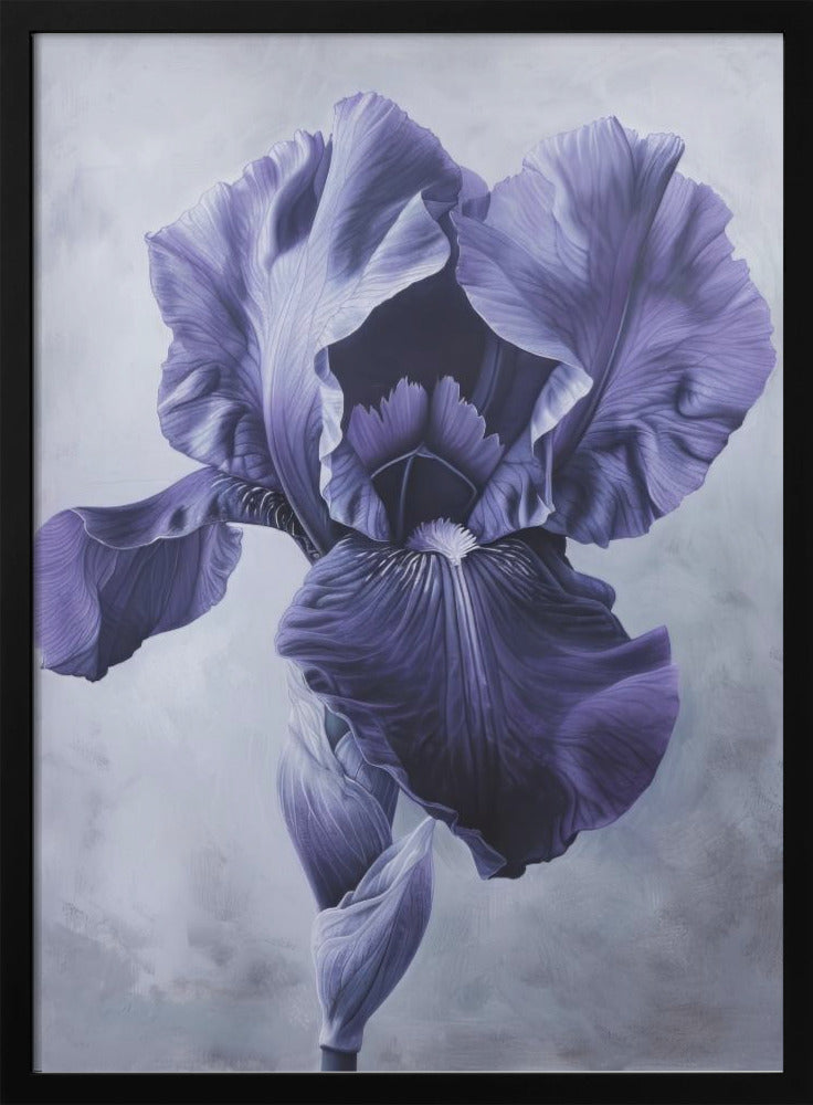 Wall art Iris Fl 95-canvas-DECOROLALA