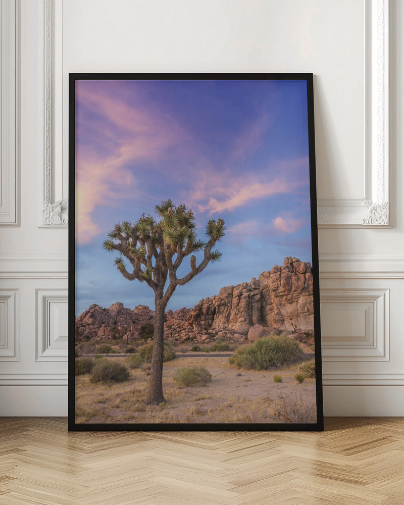 Wall art Joshua Tree Evening Atmosphere-canvas-DECOROLALA