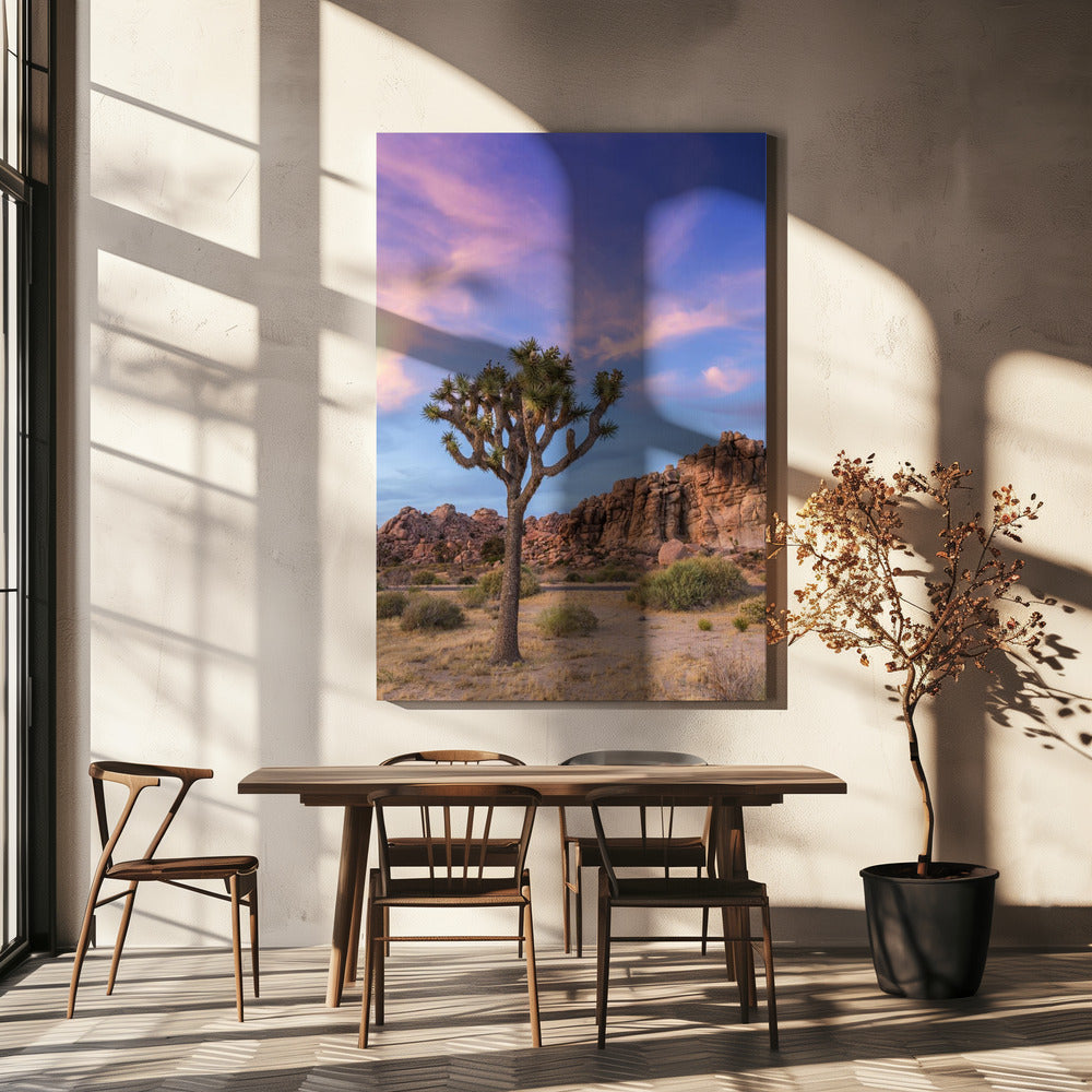 Wall art Joshua Tree Evening Atmosphere-canvas-DECOROLALA