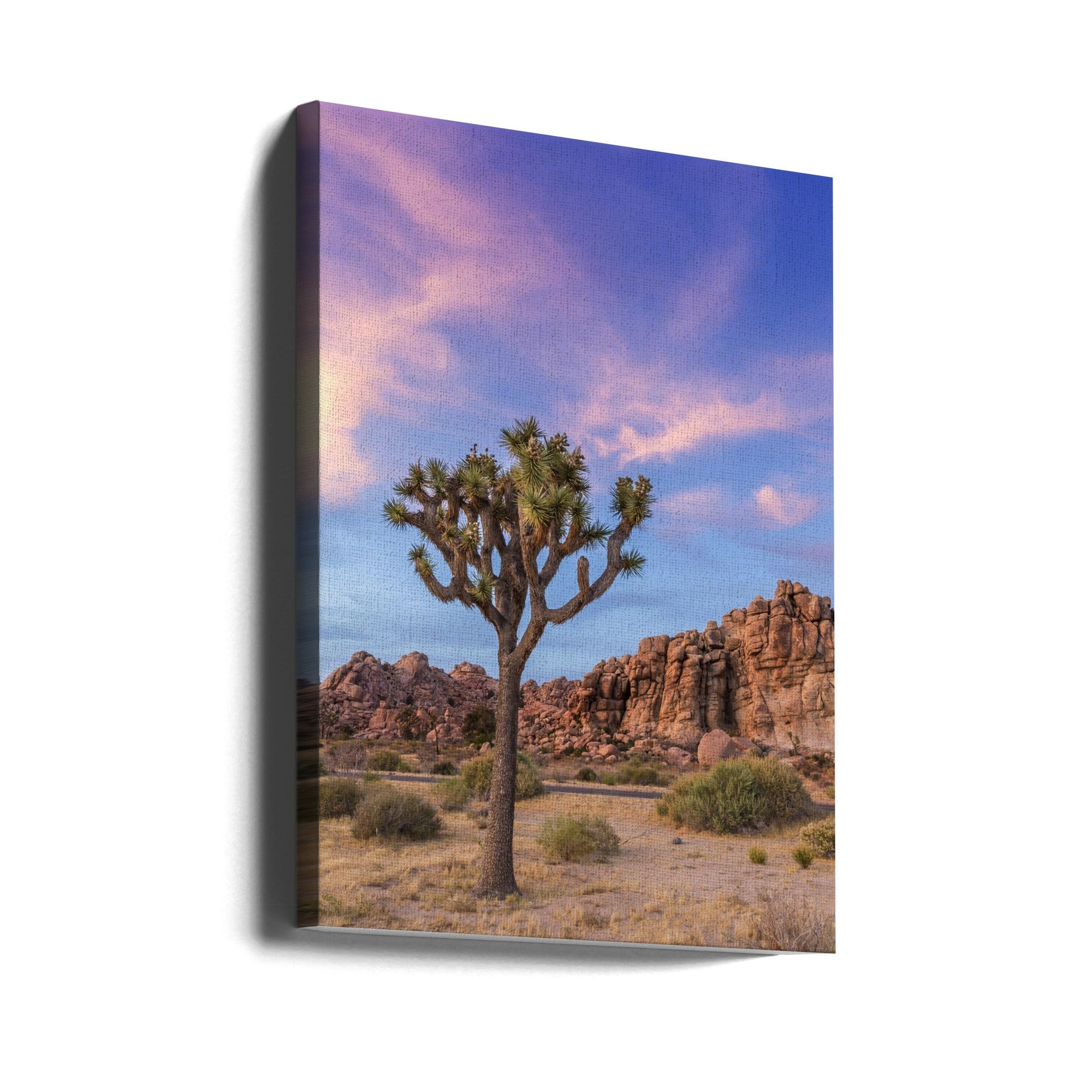 Wall art Joshua Tree Evening Atmosphere-canvas-DECOROLALA