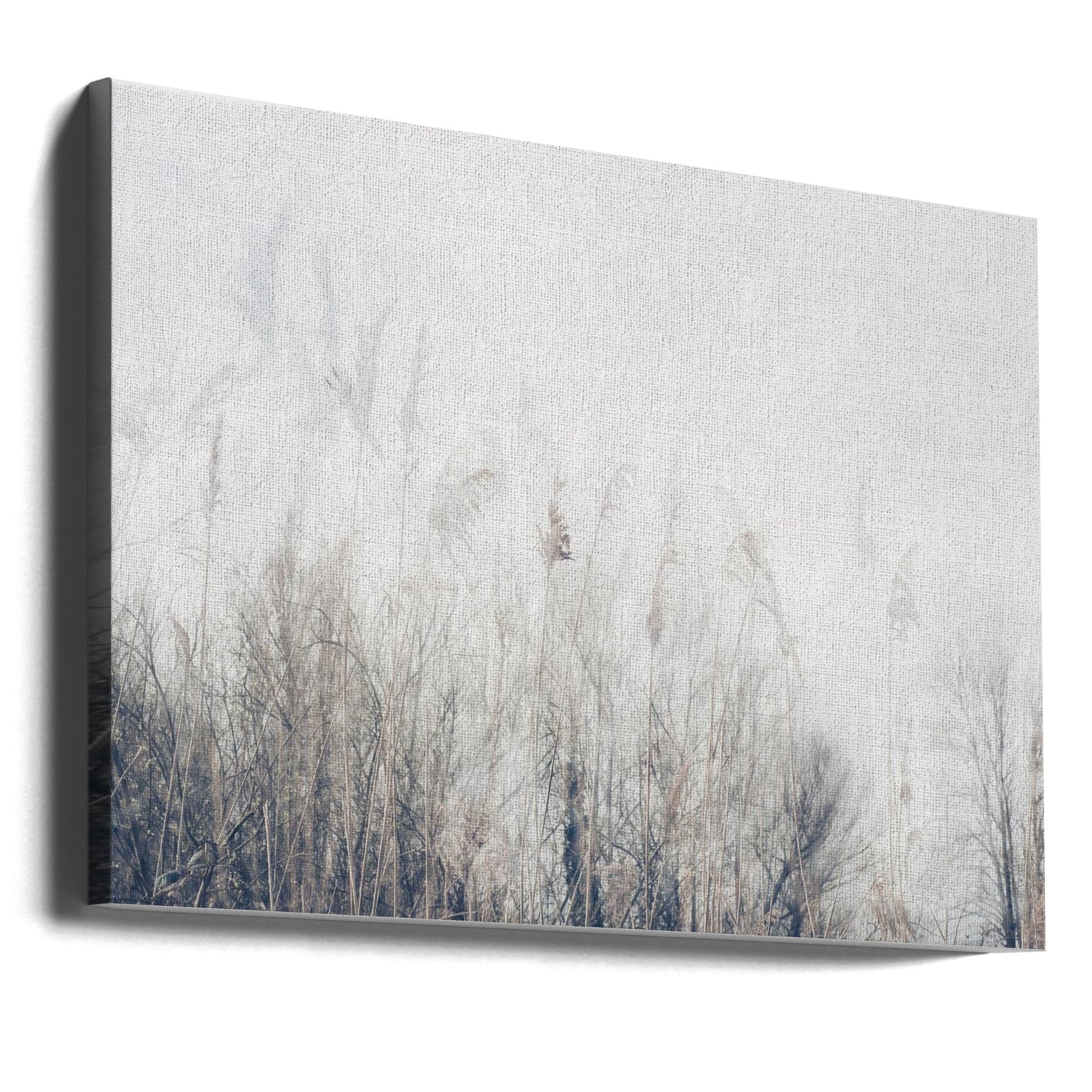 Wall art Landscape of reeds and grass-Canvas Print-DECOROLALA