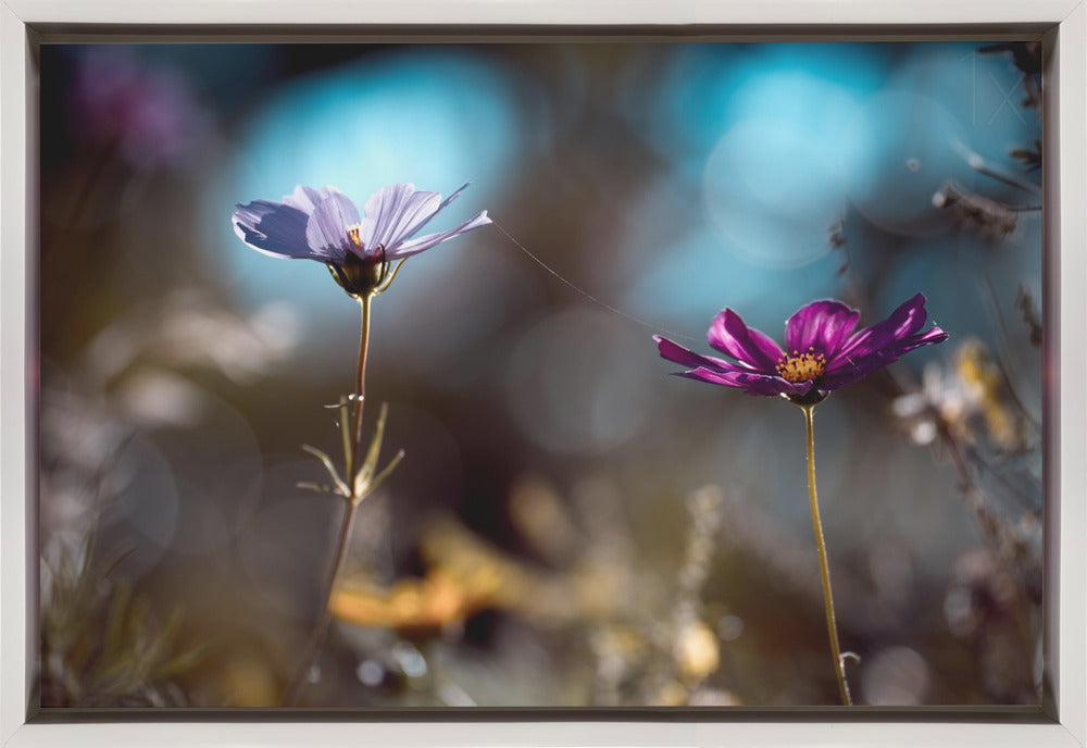 Wall art Le lien-Canvas Print-DECOROLALA