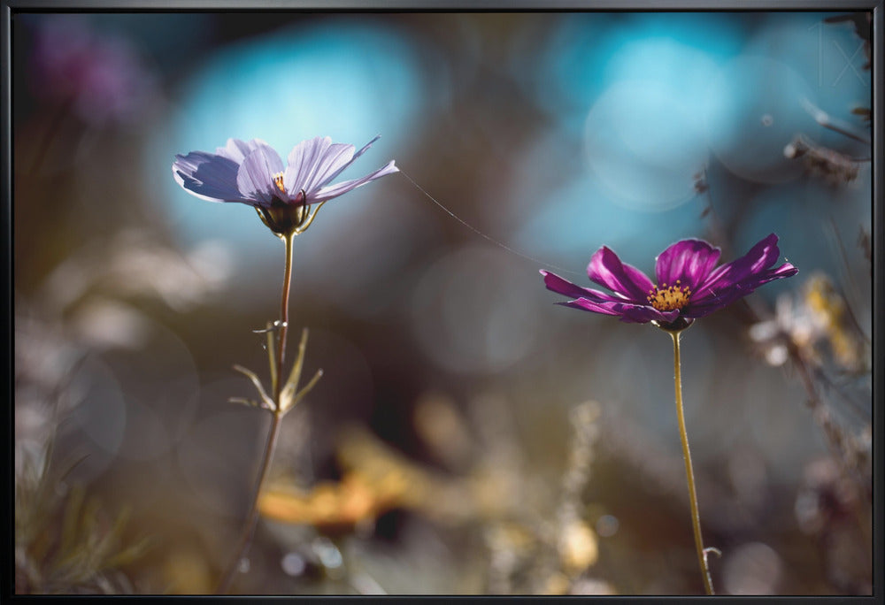 Wall art Le lien-Canvas Print-DECOROLALA