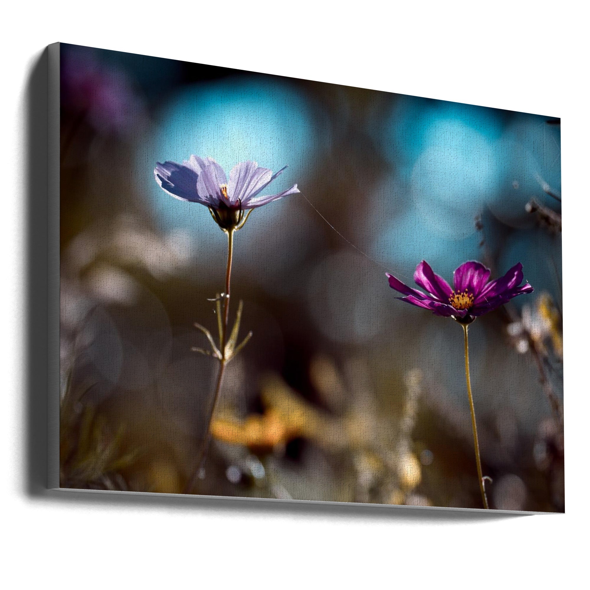 Wall art Le lien-Canvas Print-DECOROLALA