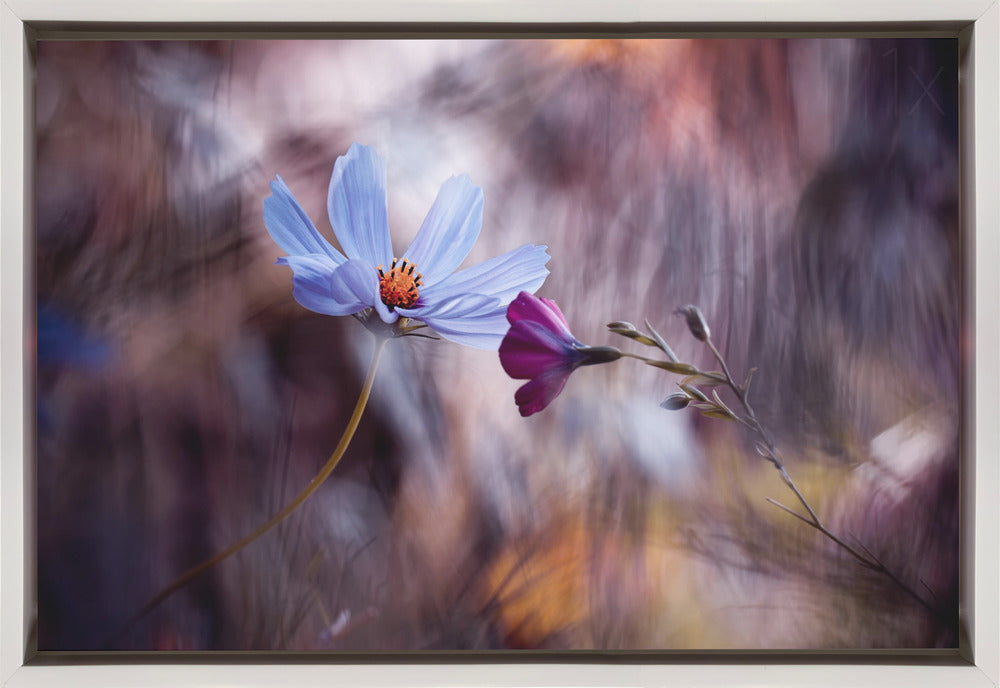 Wall art Le rendez vous-Canvas Print-DECOROLALA