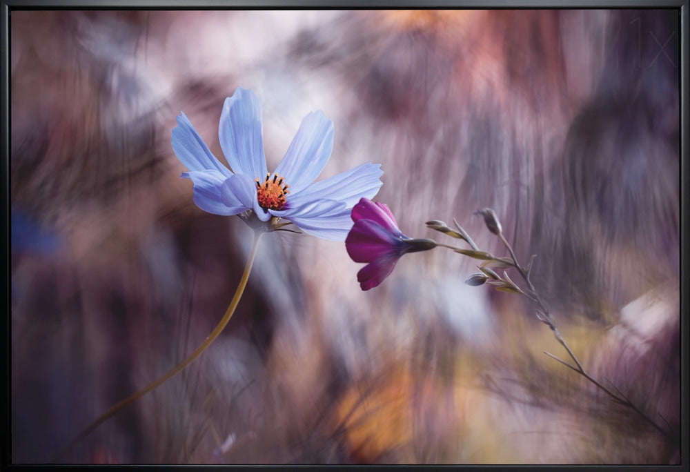 Wall art Le rendez vous-Canvas Print-DECOROLALA