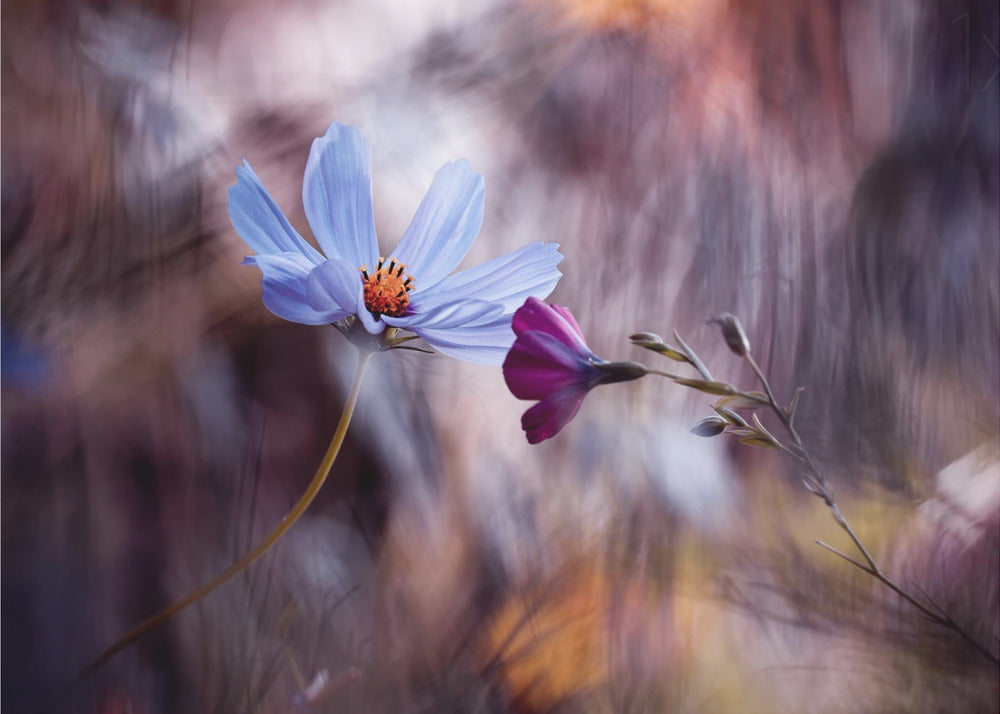 Wall art Le rendez vous-Canvas Print-DECOROLALA