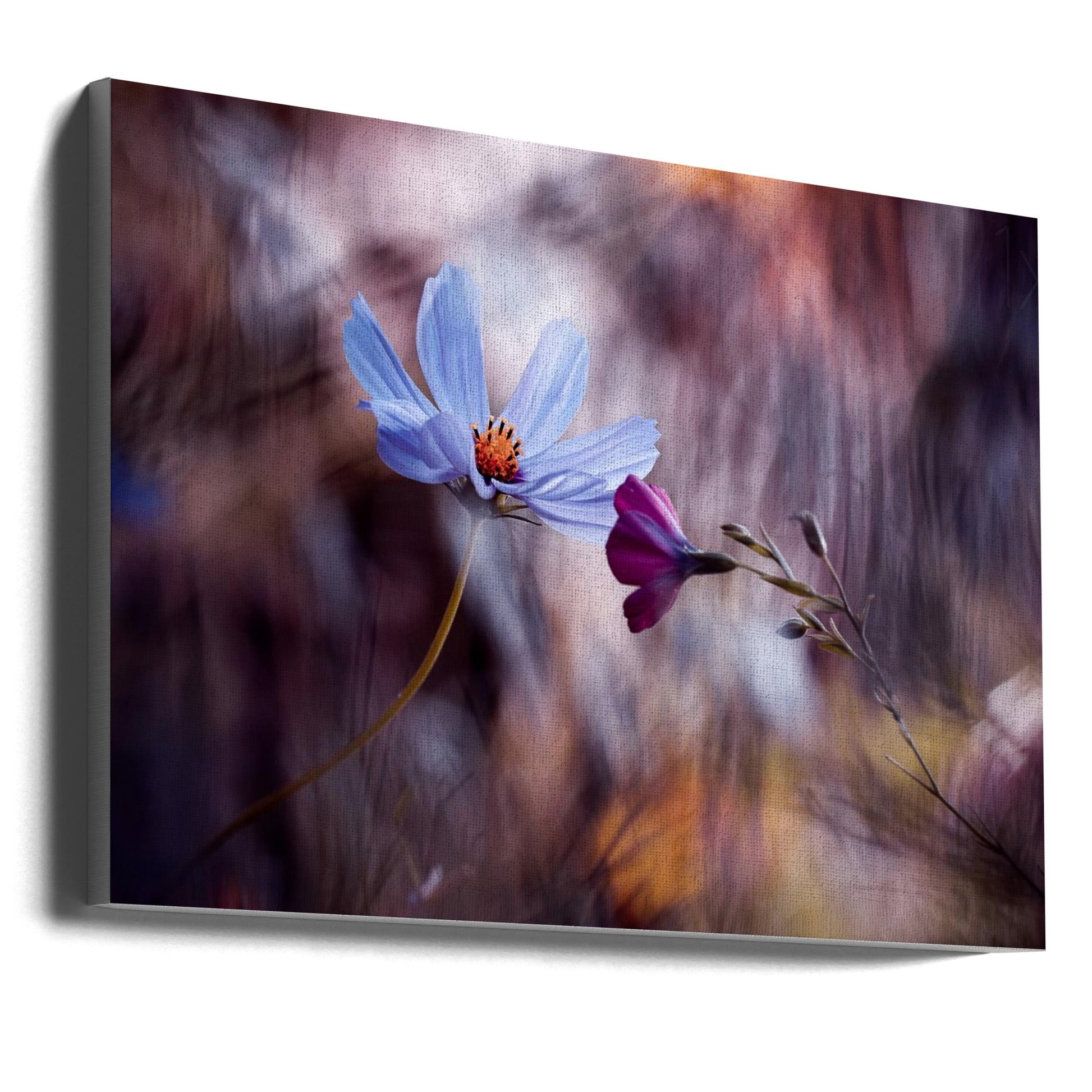 Wall art Le rendez vous-Canvas Print-DECOROLALA