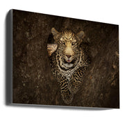 Wall art Leopard Resting on a Tree at Masai Mara-Canvas Print-DECOROLALA