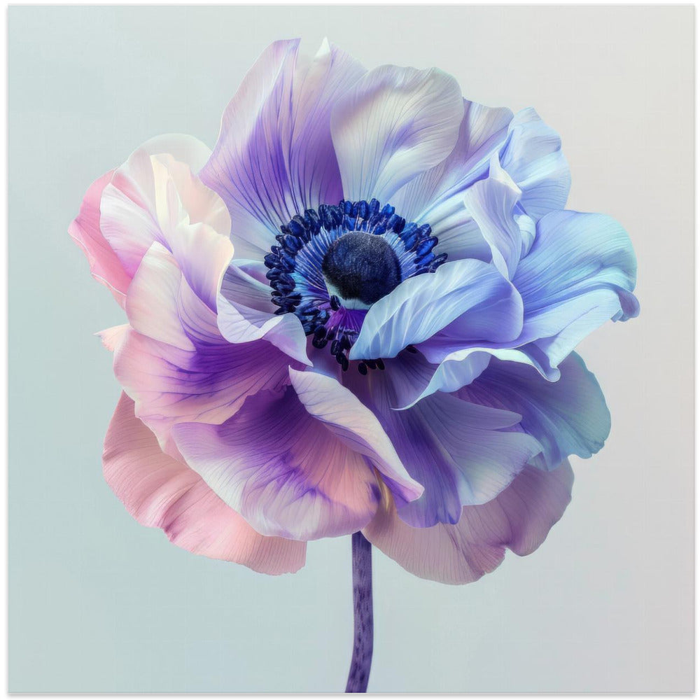 Wall art Lila Macro 13-canvas-DECOROLALA