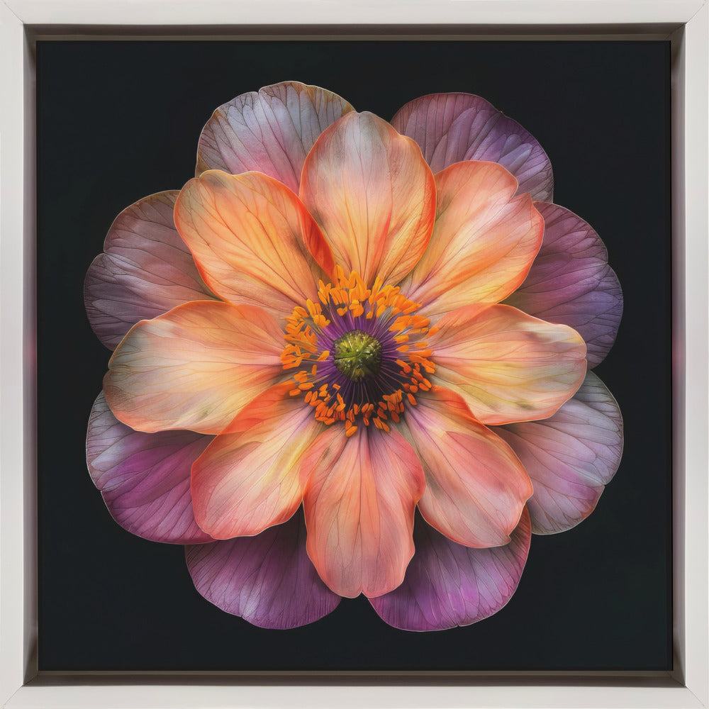 Wall art Macro Fl On Blk 20-canvas-DECOROLALA