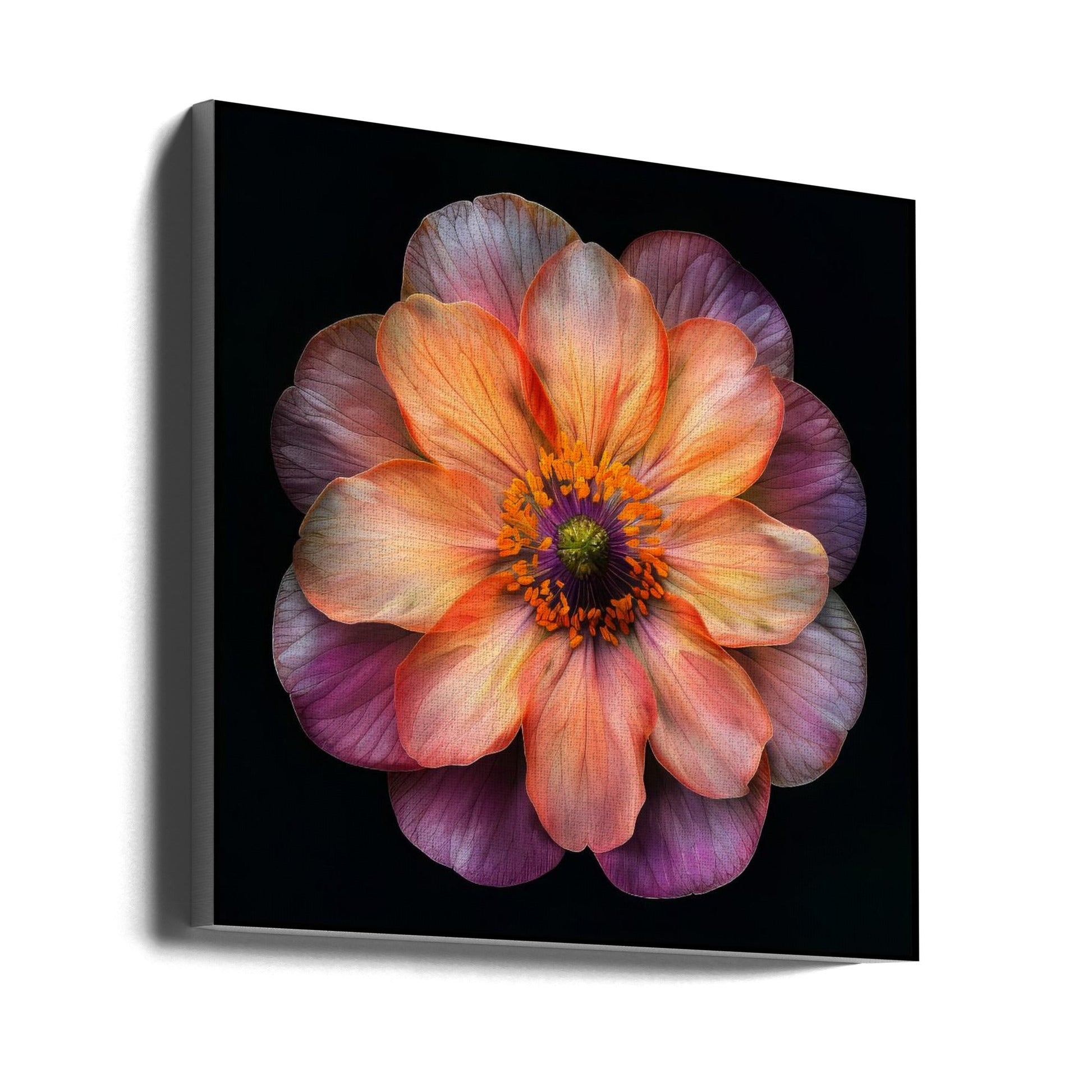 Wall art Macro Fl On Blk 20-canvas-DECOROLALA
