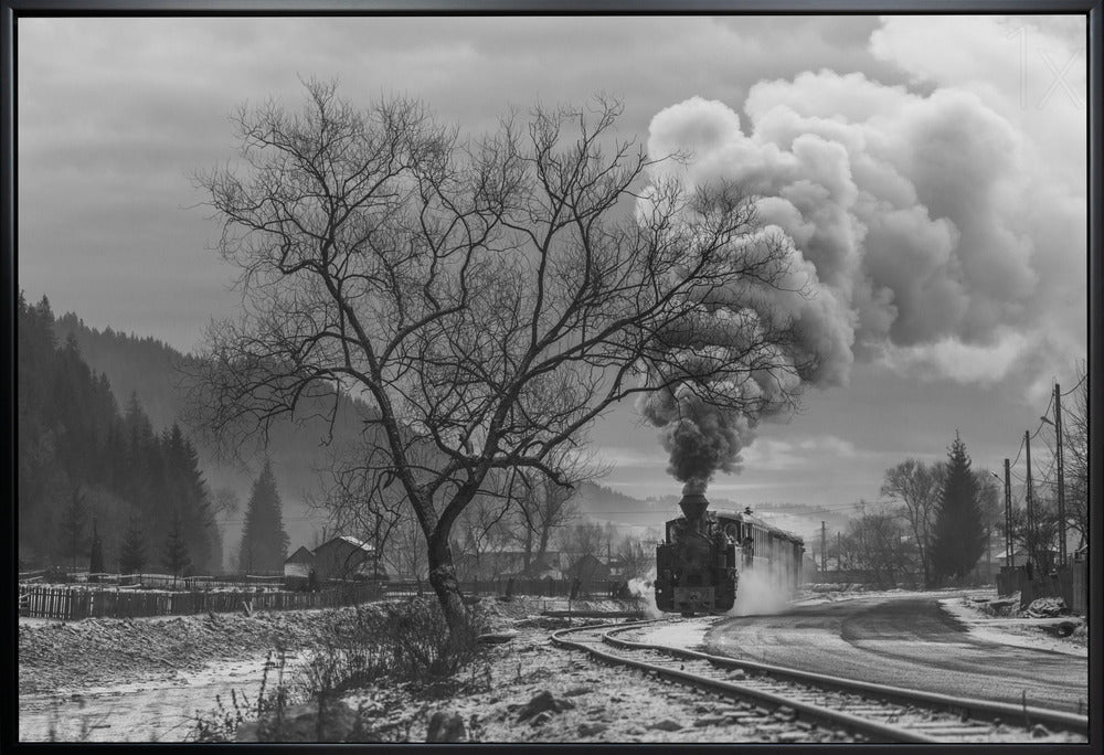 Wall art Mocanita Hutulca-Canvas Print-DECOROLALA