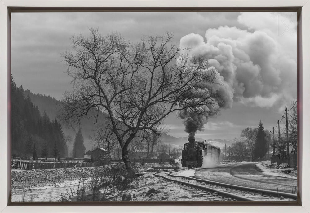 Wall art Mocanita Hutulca-Canvas Print-DECOROLALA