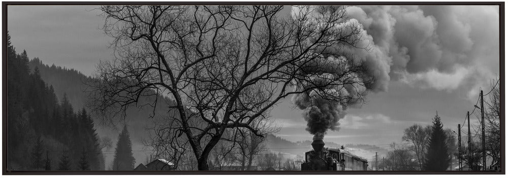 Wall art Mocanita Hutulca-Canvas Print-DECOROLALA