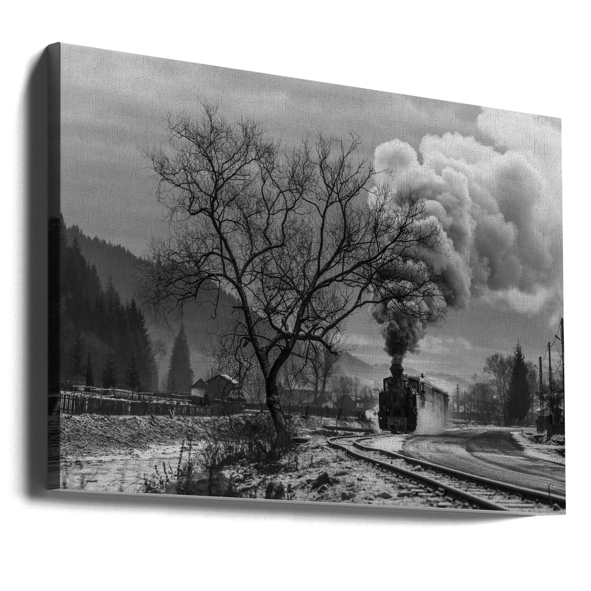 Wall art Mocanita Hutulca-Canvas Print-DECOROLALA