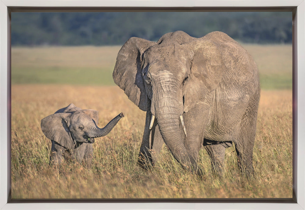 Wall art Mom elephant with calf-Canvas Print-DECOROLALA