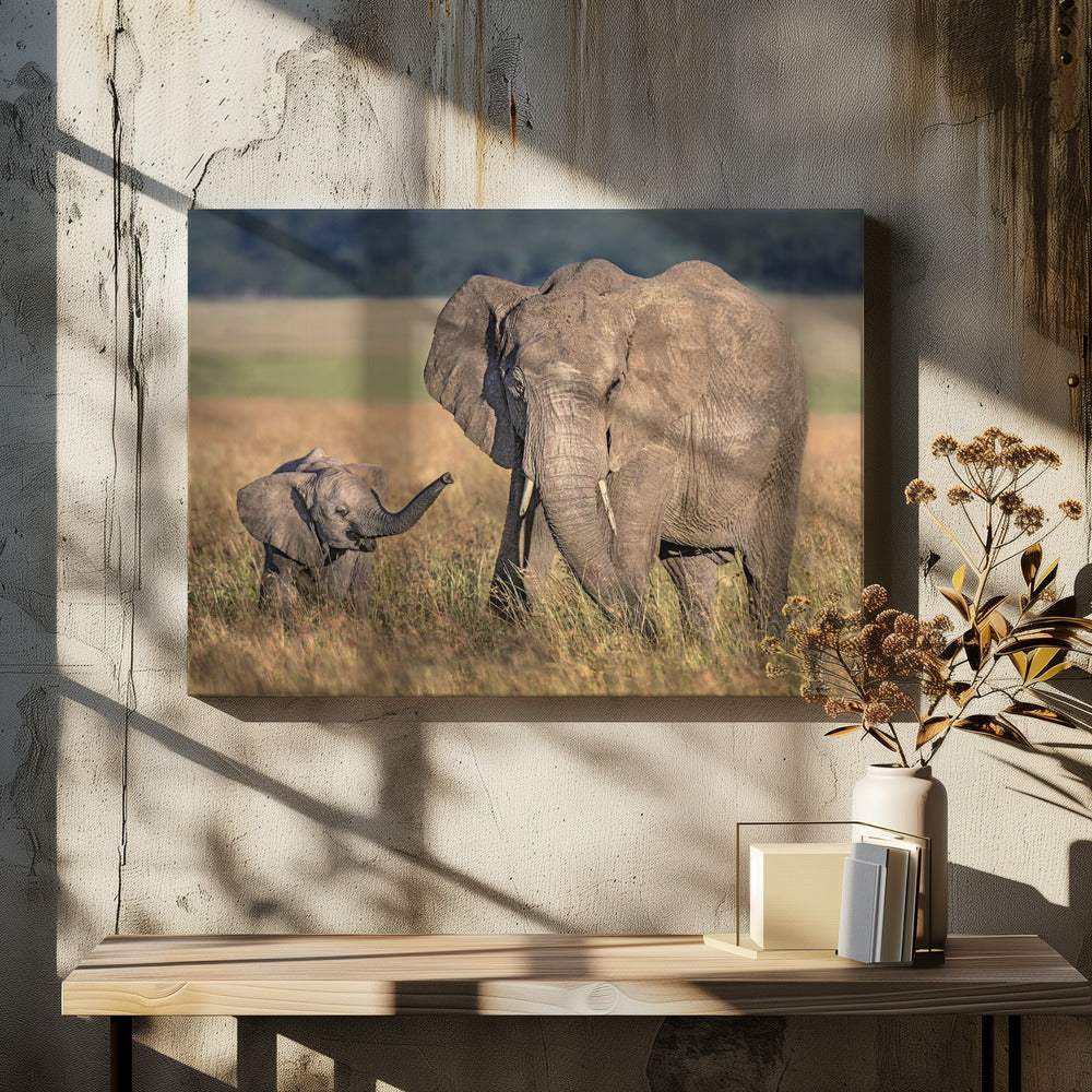 Wall art Mom elephant with calf-Canvas Print-DECOROLALA