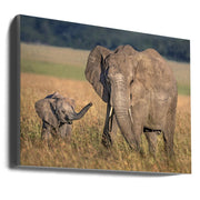 Wall art Mom elephant with calf-Canvas Print-DECOROLALA