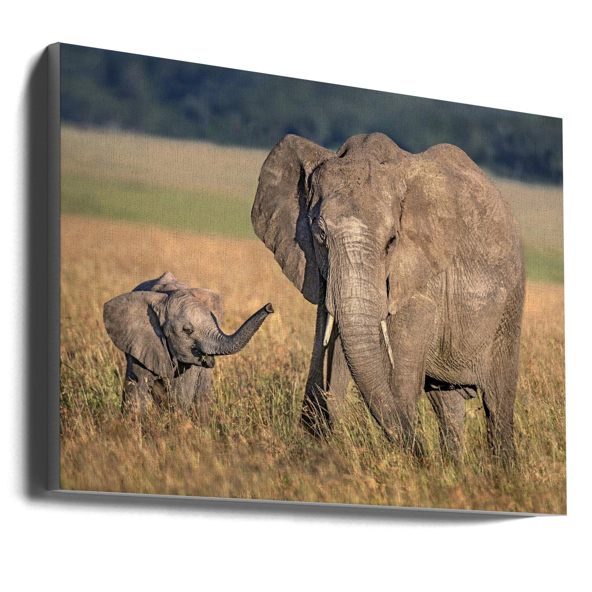 Wall art Mom elephant with calf-Canvas Print-DECOROLALA