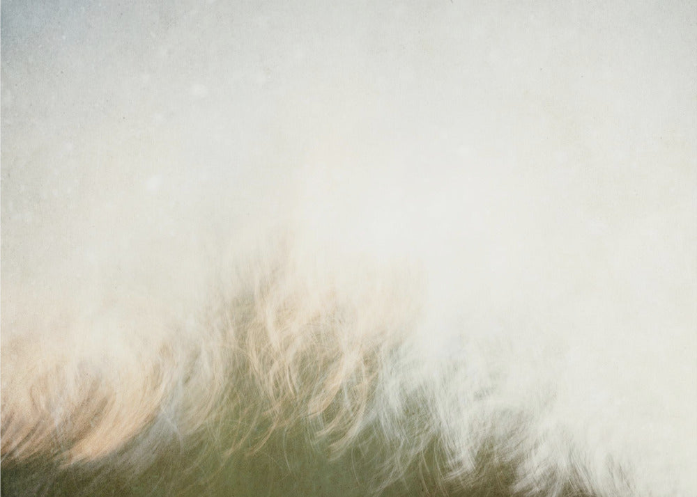 Wall art Moving landscape-Canvas Print-DECOROLALA