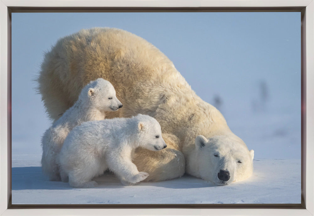 Wall art Mum, Play together-Canvas Print-DECOROLALA