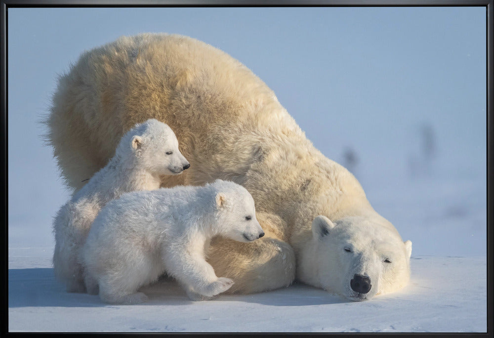 Wall art Mum, Play together-Canvas Print-DECOROLALA